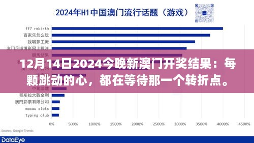 12月14日2024今晚新澳门开奖结果：每颗跳动的心，都在等待那一个转折点。