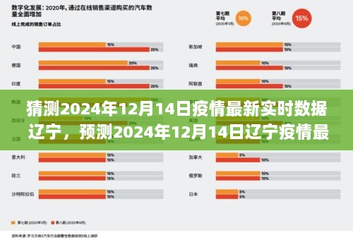 2024年12月14日辽宁疫情最新实时数据预测与趋势分析，应对策略探讨