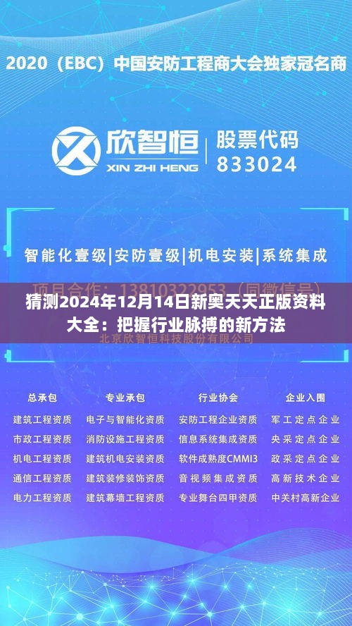 猜测2024年12月14日新奥天天正版资料大全：把握行业脉搏的新方法