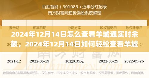 2024年12月14日羊城通实时余额查看方法解析——个人观点分享