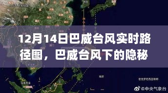 巴威台风下的隐秘小巷，探寻特色小店的奇妙之旅实况路径图（12月14日）