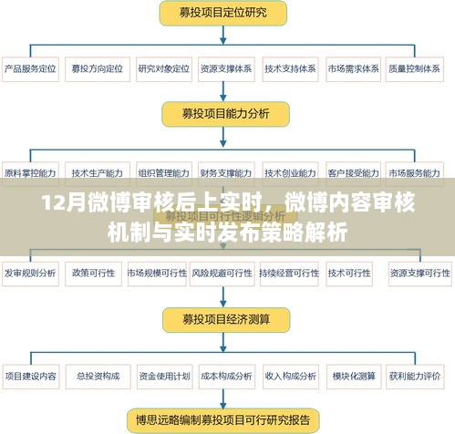 微博审核机制与实时发布策略深度解析，内容审核与实时互动的平衡之道