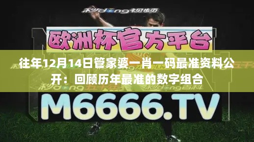 往年12月14日管家婆一肖一码最准资料公开：回顾历年最准的数字组合