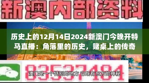 历史上的12月14日2024新澳门今晚开特马直播：角落里的历史，赌桌上的传奇