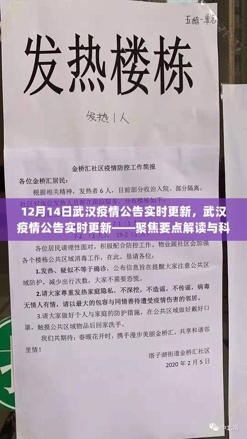 武汉疫情公告实时更新，聚焦要点解读与科普分享