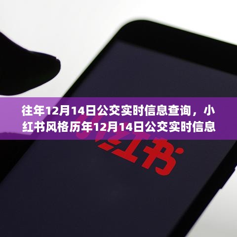 历年12月14日公交实时信息查询指南，小红书风格助你出行无忧🚌