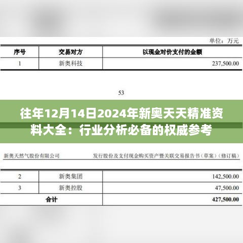 往年12月14日2024年新奥天天精准资料大全：行业分析必备的权威参考