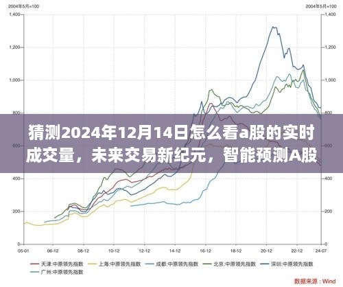 2024年12月15日 第19页