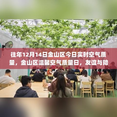 金山区空气质量实时播报，温馨友谊日，享受纯净空气与陪伴的美好时光