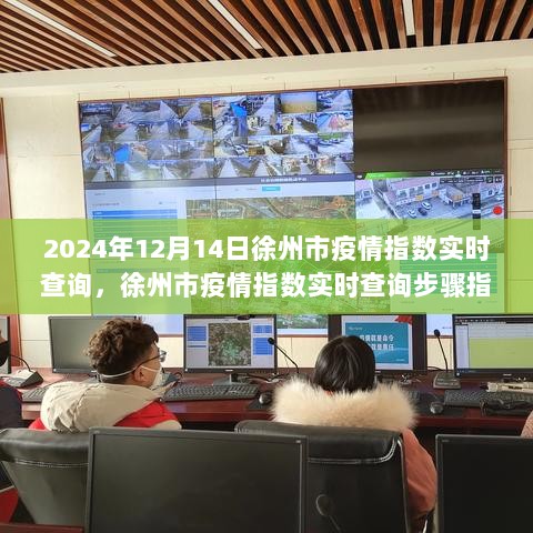 徐州市疫情指数实时查询指南（初学者与进阶用户适用）——以2024年12月14日为例