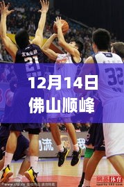 12月14日佛山顺峰山篮球直播，与自然共舞的心灵静谧之旅