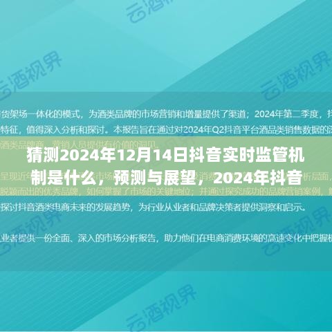 2024年抖音实时监管机制解析，预测与展望