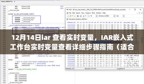 IAR嵌入式工作台，实时变量查看指南（适合初学者与进阶用户）