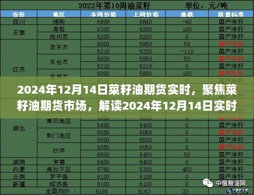 2024年12月14日菜籽油期货市场动态解析，实时行情与趋势展望