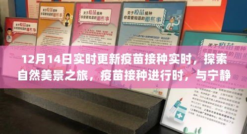 疫苗接种进行时，探索自然美景之旅，与宁静和平共舞的最新实时更新