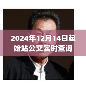 未来公交出行新篇章，实时查询系统解析及展望（以2024年12月14日起始站为例）