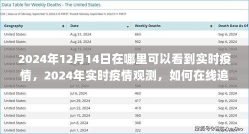 2024年实时疫情观测指南，在线追踪疫情动态的最佳途径