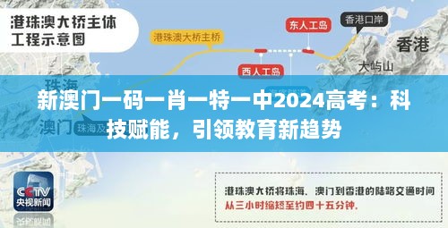 2024年12月15日 第7页