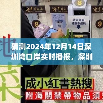 深圳湾口岸见证时代变迁，实时播报2024年12月14日动态揭秘