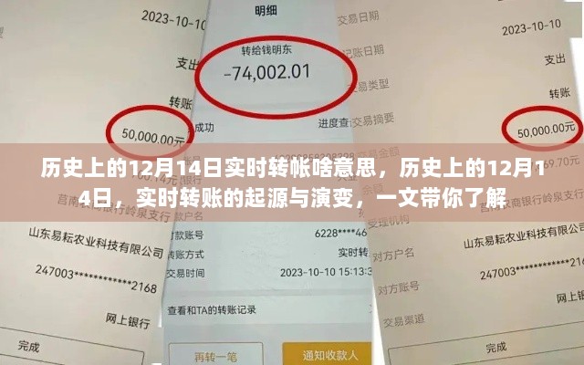 揭秘历史上的十二月十四日实时转账的起源与演变，一文解读转账历程