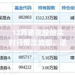 骆驼股份的逆袭之路，揭秘十二月实时行情走势图背后的励志故事