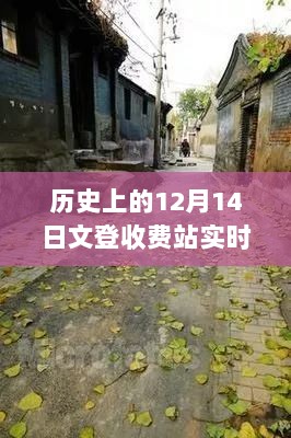 文登收费站历史实时信息图背后的故事，12月14日探秘独特风味与实时动态