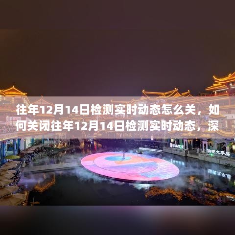 如何关闭往年12月14日检测实时动态，详细分析与探讨指南