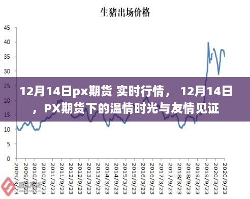 12月14日PX期货实时行情，见证温情时光与友情的力量