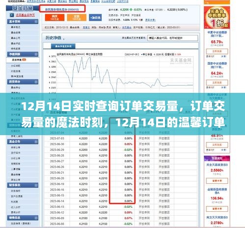 12月14日订单交易量魔法时刻，实时查询与温馨故事交织