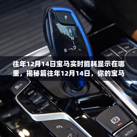 揭秘篇，往年12月14日宝马能耗实时显示位置解析🚗🔍