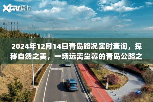 2024年12月14日青岛公路实时路况解读，探秘自然之美，远离尘嚣的公路之旅