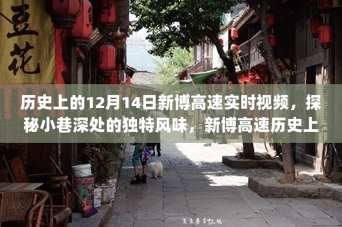 探秘小巷深处的独特风味，新博高速历史上的12月14日实时视频之旅回顾