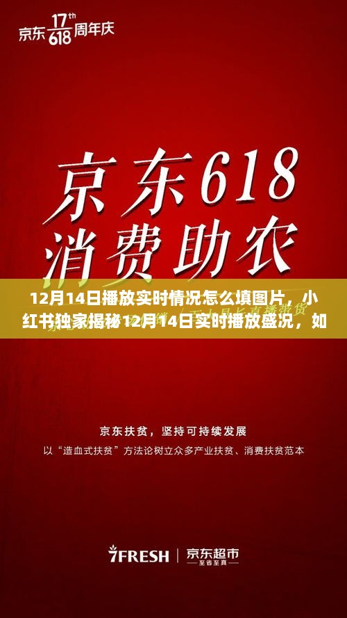 小红书独家揭秘，12月14日播放盛况与精彩瞬间图片呈现指南