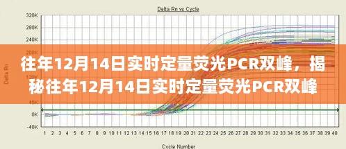 揭秘往年12月14日实时定量荧光PCR双峰现象，技术解析与未来应用前景展望