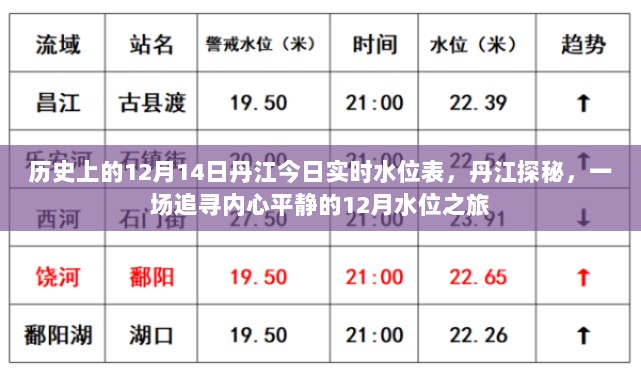 丹江水位探秘，追寻内心平静的12月水位之旅今日实时更新表