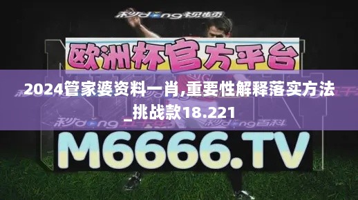 2024管家婆资料一肖,重要性解释落实方法_挑战款18.221