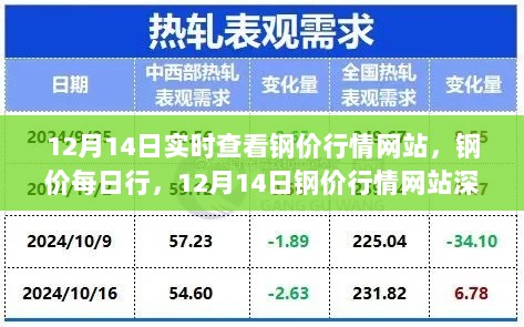 12月14日钢价行情实时更新，深度评测与网站介绍