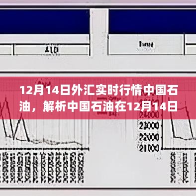 中国石油市场走势解析，12月14日外汇实时行情下的市场走势与投资观点