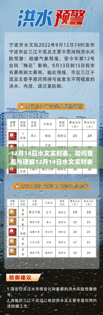 详细步骤指南，如何查看与理解12月14日水文实时表