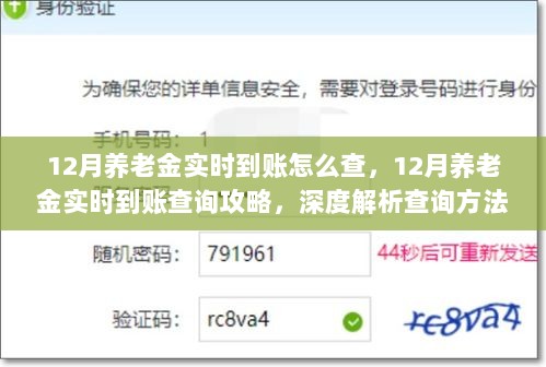 深度解析，12月养老金实时到账查询攻略与各方观点