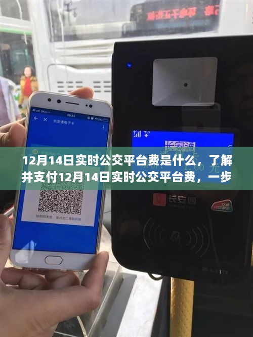 12月14日实时公交平台费支付指南，操作步骤及费用详解