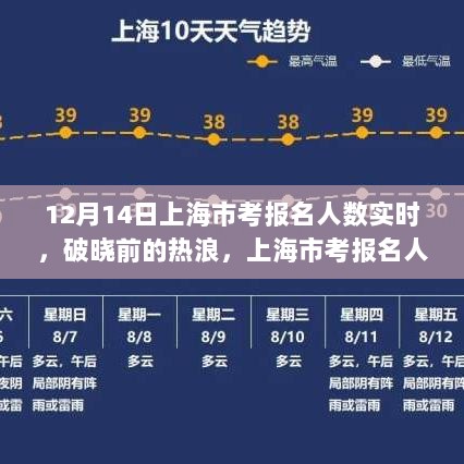 上海市考报名人数实时纪实，破晓前的热浪涌动