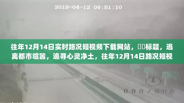 往年12月14日路况短视频，逃离喧嚣，追寻心灵净土的自然之美之旅