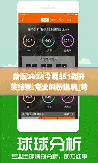 新澳2024今晚351期开奖结果,专业解析说明_特供款10.847