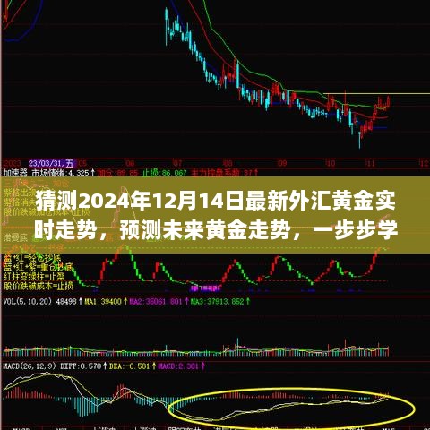 揭秘黄金走势，预测未来黄金市场走势及解析外汇黄金实时走势