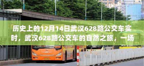 武汉628路公交车，历史中的自然之旅与心灵探险纪实