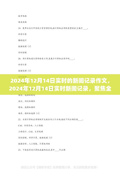 全球热点事件实时报道，2024年12月14日新闻记录