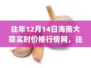 往年12月14日海南大蒜实时价格行情深度解析与介绍