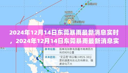 2024年12月14日东莞暴雨最新消息实时解读，全方位解析暴雨影响与应对策略