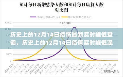 历史上的12月14日疫情实时峰值深度解析与最新峰值查询